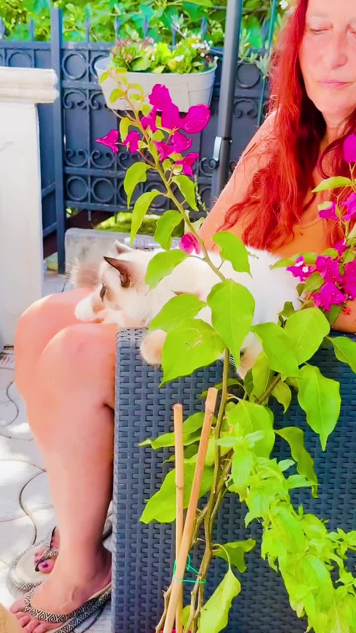 SVETA BIRMA – AYLA &#55357&#56473